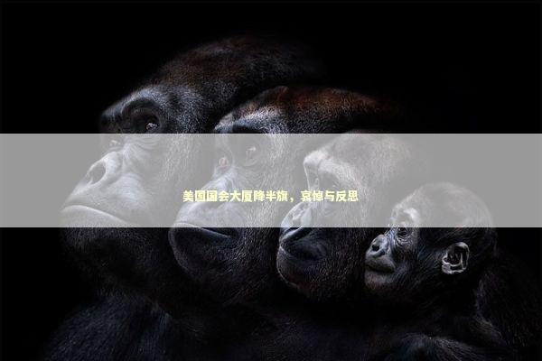 美国国会大厦降半旗,哀悼与反思 美国国会大厦降半旗,哀悼与反思 泰国情降法事预约