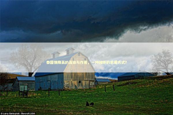 泰国情降真的真谛与作用，一种独特的求爱方式？