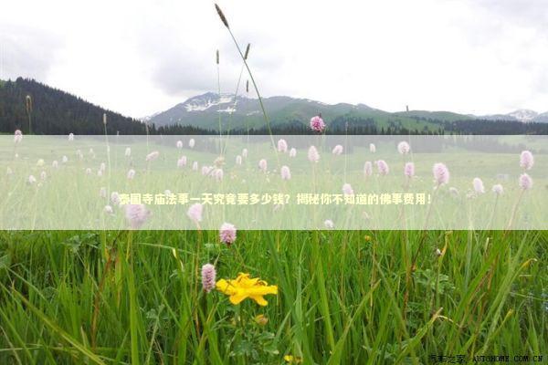 泰国寺庙法事一天究竟要多少钱?揭秘你不知道的佛事费用! 泰国寺庙法事一天究竟要多少钱?揭秘你不知道的佛事费用! 泰国情降法事预约