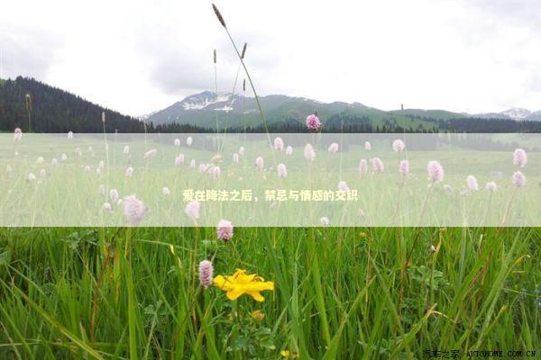 爱在降法之后,禁忌与情感的交织 爱在降法之后,禁忌与情感的交织 泰国情降法事预约