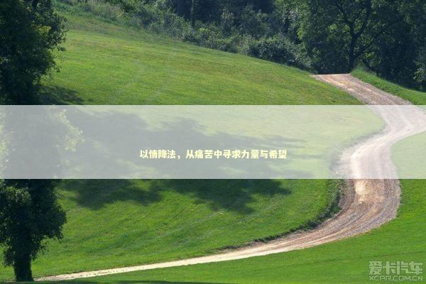 以情降法，从痛苦中寻求力量与希望