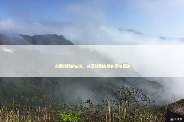  泰国情降的反噬，从爱情到友情的深度探索