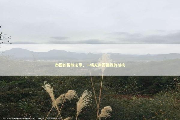 泰国的拆散法事，一场无声而强烈的抵抗