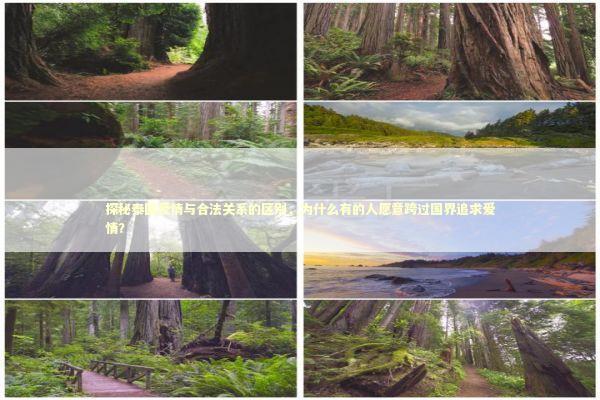 探秘泰国爱情与合法关系的区别，为什么有的人愿意跨过国界追求爱情？