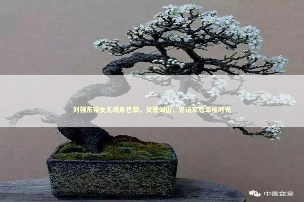 刘强东带女儿现身巴黎,父爱如山,见证家庭幸福时光 刘强东带女儿现身巴黎,父爱如山,见证家庭幸福时光 泰国情降法事预约