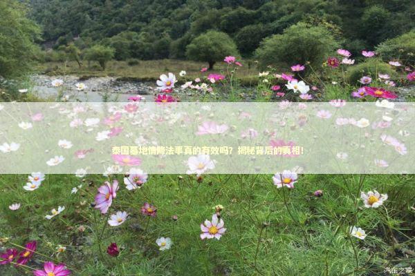泰国墓地情降法事真的有效吗?揭秘背后的真相! 泰国墓地情降法事真的有效吗?揭秘背后的真相! 泰国情降法事预约