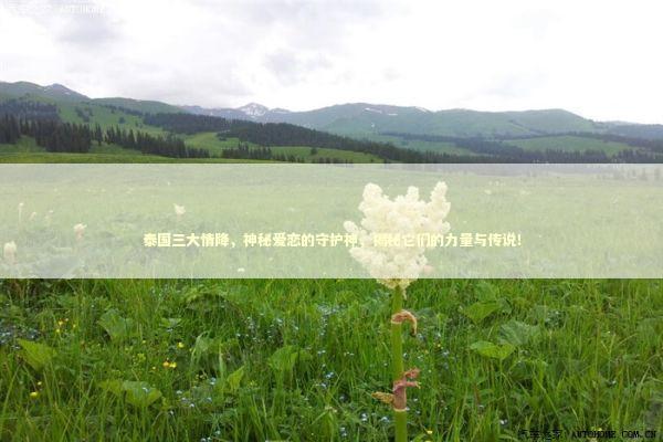 泰国三大情降，神秘爱恋的守护神，揭秘它们的力量与传说！
