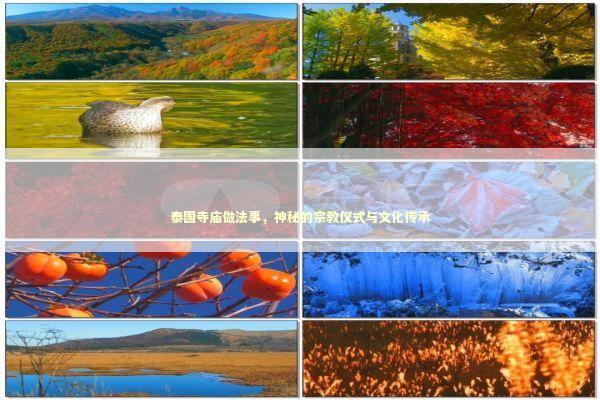 泰国寺庙做法事,神秘的宗教仪式与文化传承 泰国寺庙做法事,神秘的宗教仪式与文化传承 泰国情降法事预约