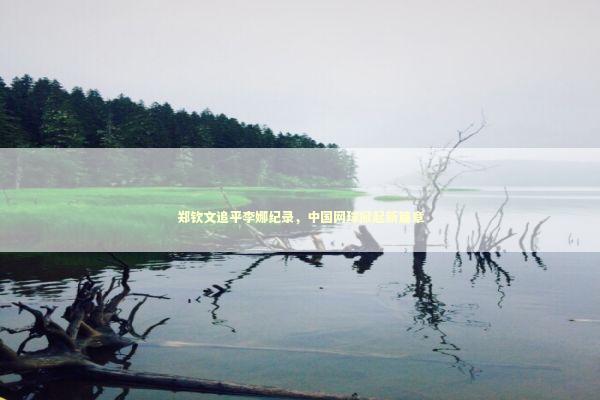 郑钦文追平李娜纪录,中国网球掀起新篇章 郑钦文追平李娜纪录,中国网球掀起新篇章 泰国情降法事预约