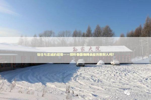 信任与忠诚的纽带——探析泰国情降真能拆散别人吗？