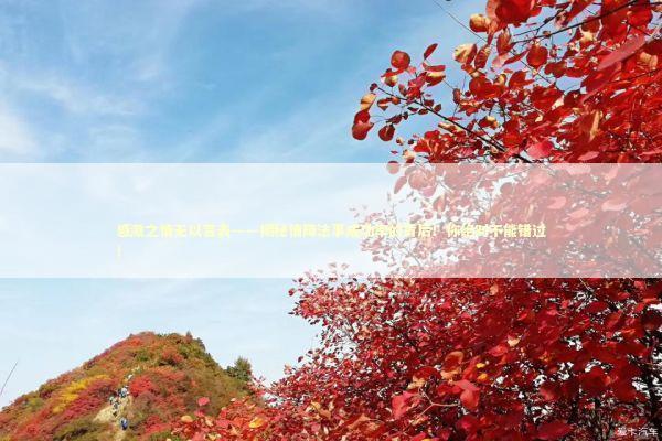 感激之情无以言表——揭秘情降法事成功率的背后!你绝对不能错过! 感激之情无以言表——揭秘情降法事成功率的背后!你绝对不能错过! 泰国情降法事预约