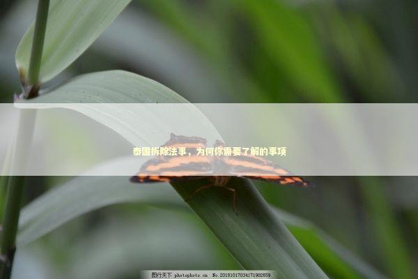 泰国拆除法事，为何你需要了解的事项