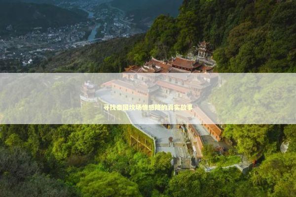 寻找泰国坟场情感降的真实故事