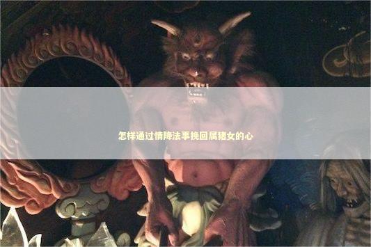 怎样通过情降法事挽回属猪女的心